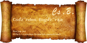 Csöndes Bogárka névjegykártya